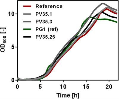 Identification of Key Metabolites in Poly-γ-Glutamic Acid Production by Tuning γ-PGA Synthetase Expression